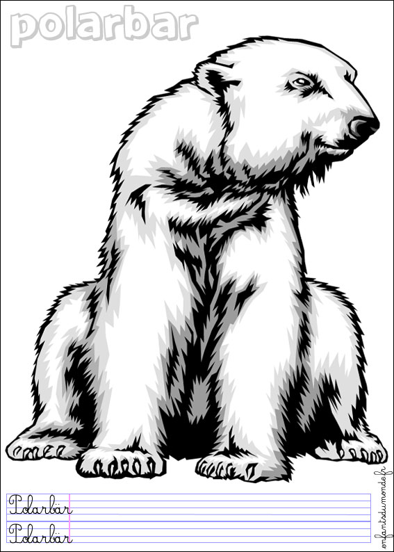 coloriage ours polaire 2